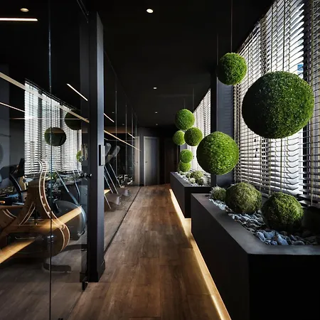 Ammades & - Adults Only