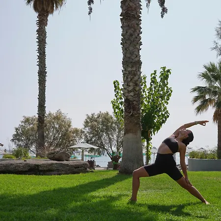 Ammades & - Adults Only פליראקי