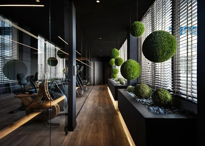 Ammades & - Adults Only