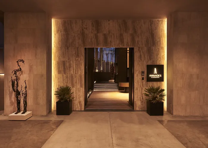 Ammades & - Adults Only 팔리라키